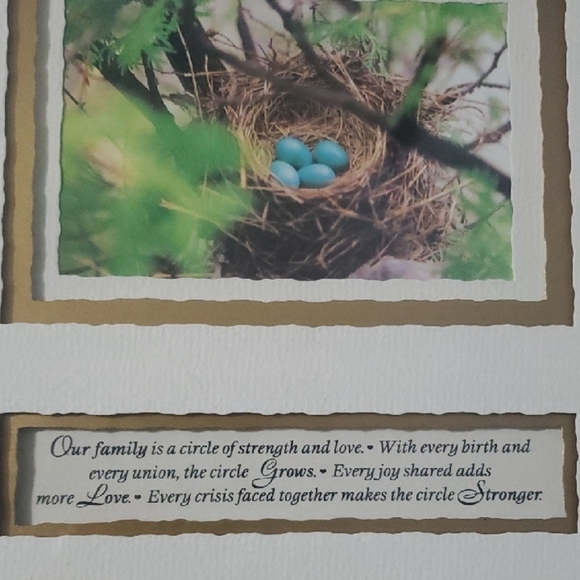 Gold Framed Art Print Nest Eggs Our Family Is A Circle Of Strength And Love - Picture 5 of 5